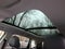 2025 Volkswagen Taos 1.5T SE Black