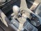 2021 Volkswagen Atlas Cross Sport 2.0T SEL
