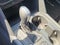 2022 Volkswagen Atlas 2.0T SE