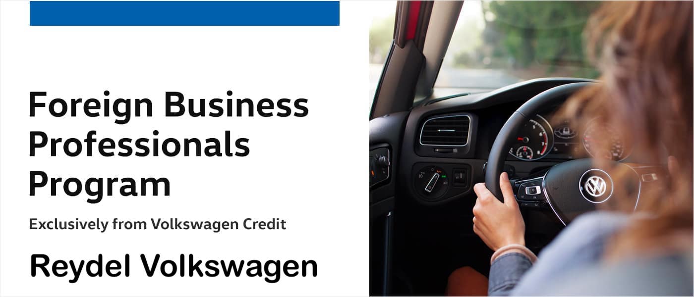 Foreign Business Professional Programs