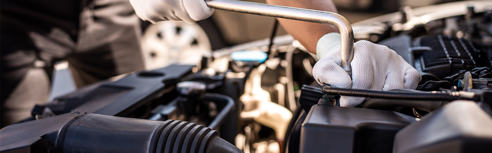 25% Discount Tuesdays